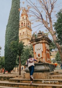 Patio de los naranjos, Mezquita de Córdoba